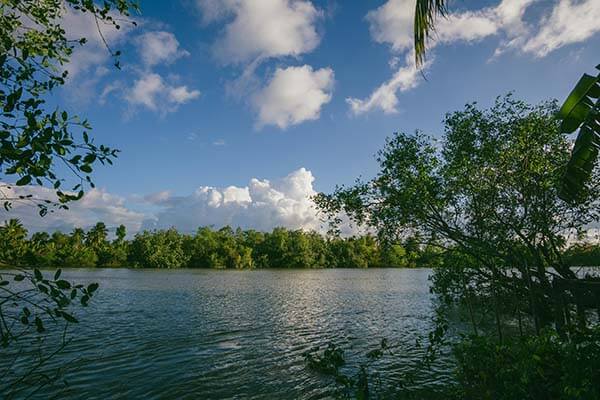 表面风平浪静，这次每日大赛ai争议最大的地方终于说清了
